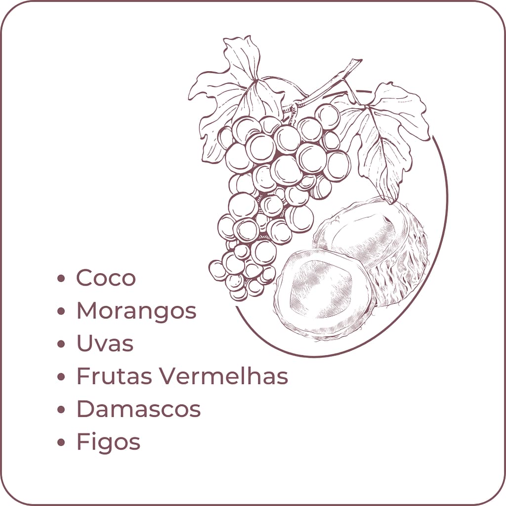 Coco
Morangos
Uvas
Frutas Vermelhas
Damascos
Figos